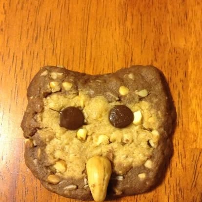 One of Anne's mom's finished owl cookies — a peanut-butter and chocolate slice-and-bake owl face with chocolate-chip eyes and a cashew beak